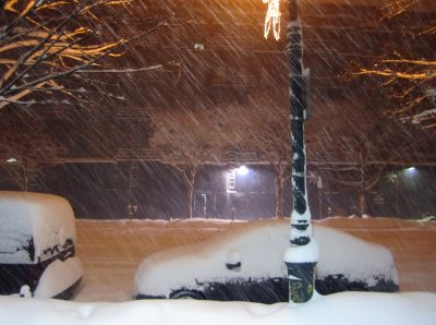 Blizzard n White Trees.jpg