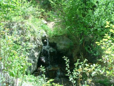 Green Grotto from Hot Springs run off