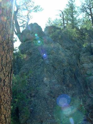 Tree Rock and Sun