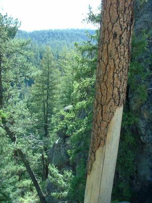 View from Jemez Falls