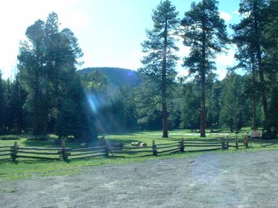 Beautiful High Meadow park in Bandelier Natl Monument