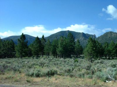 View to the right of campsite