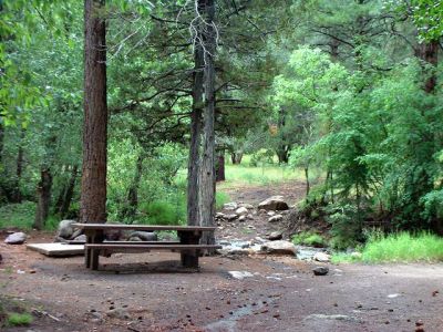 Campsite right on creek