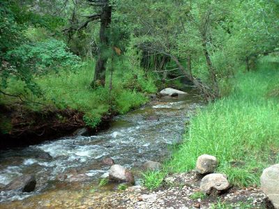 the creek by the campsites