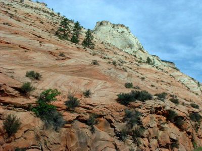 Zion Natl Park