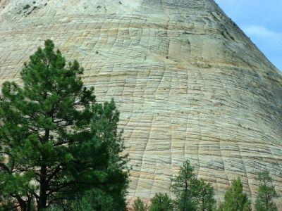 Zion Natl Park Checkerboard Mesa