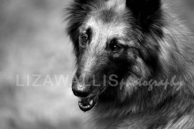 ZIMG_0738bw.jpg