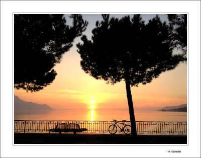 g4/16/252616/3/142339397.VpyhIn7Q.jpg