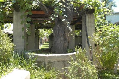 DSC_4969  A.jpg