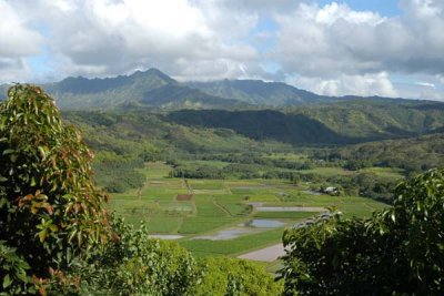 Hanalie Valley 01.jpg