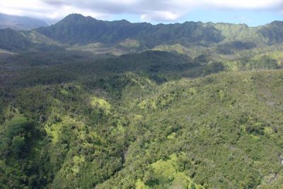 Helicopter Ride 36.jpg