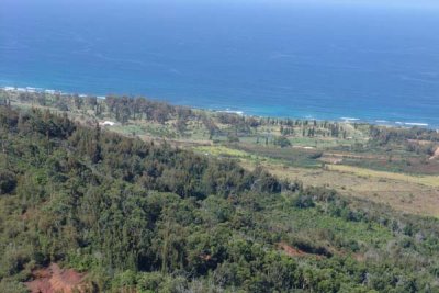 Helicopter Ride 62.jpg