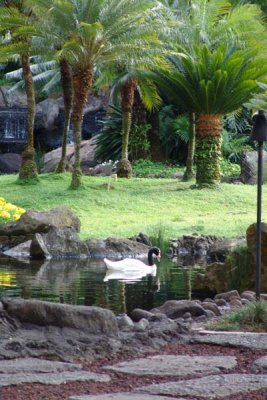 Kauai Marriott 01.jpg