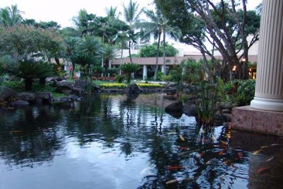 Marriott Kauai 17.jpg