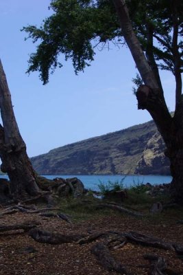 Cooks Bay 04.jpg