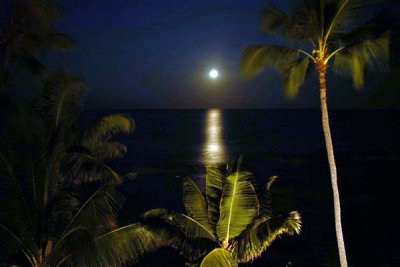 Kona Moon Set.jpg