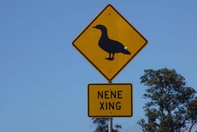 Nene Crossing 01.jpg