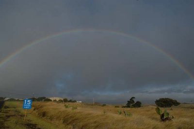 Rainbow.jpg