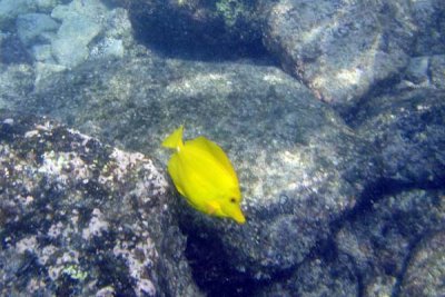 underwater.jpg