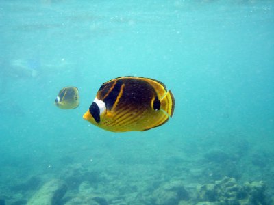 Underwater 01.jpg