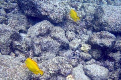 Underwater 08.jpg