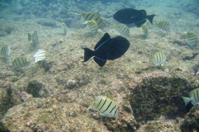 Underwater 15.jpg