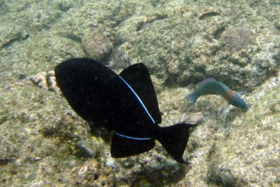Underwater 16.jpg