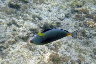 Underwater 17.jpg