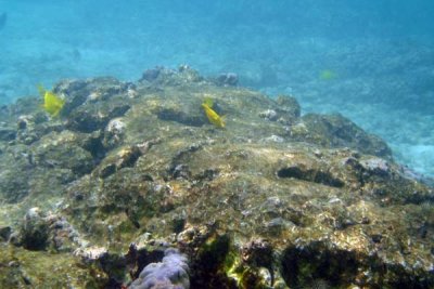 Underwater 20.jpg