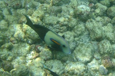 underwater 25.jpg