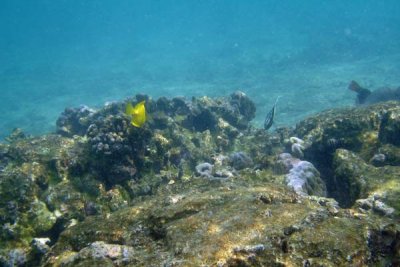 underwater 26.jpg