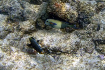 underwater 28.jpg