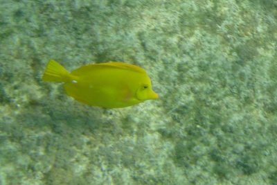 underwater 29.jpg