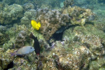 underwater 30.jpg