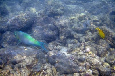 underwater 32.jpg