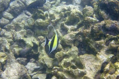 underwater 33.jpg