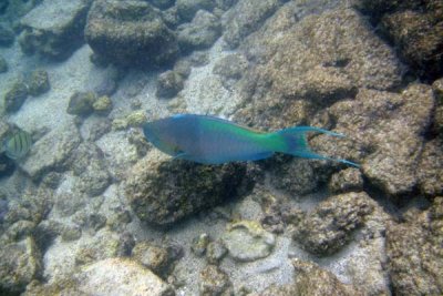 underwater 35.jpg