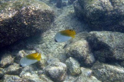 underwater 36.jpg