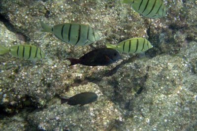 underwater 37.jpg