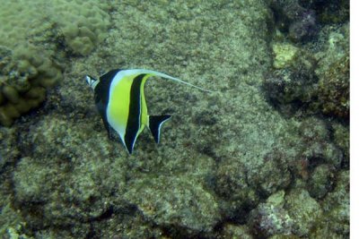 underwater 39.jpg