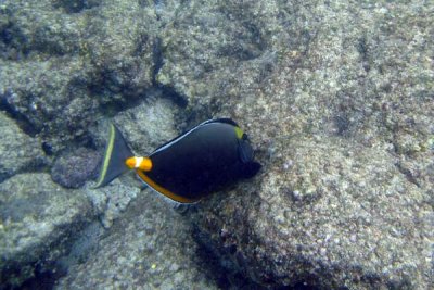 underwater 40.jpg