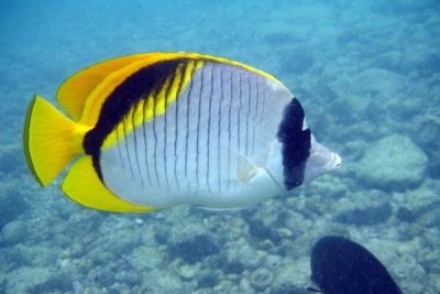 underwater 42.jpg