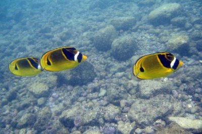 underwater 43.jpg