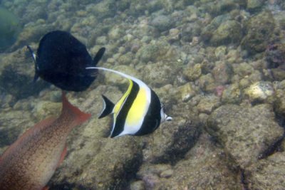 underwater 44.jpg