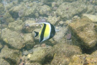 underwater 45.jpg