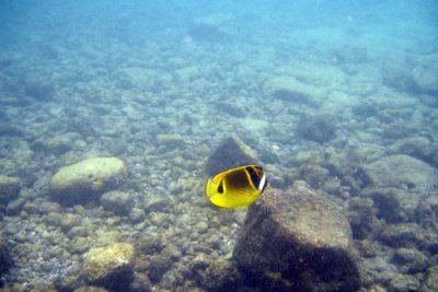 underwater 46.jpg