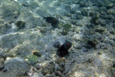 underwater 47.jpg