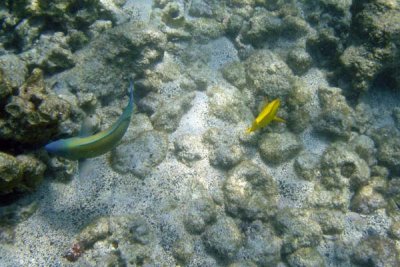 underwater 49.jpg