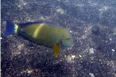 underwater 52.jpg
