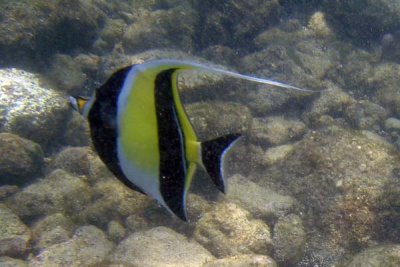 underwater 54.jpg